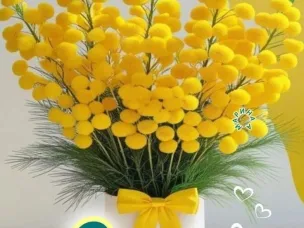 Поздравление Председателя областного Совета  ветеранов.