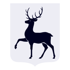 Встреча ветеранов из Санкт- Петербурга